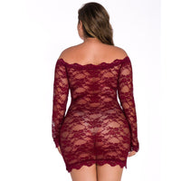 Curvy Girl Lace and  See-through Sexy Underwear